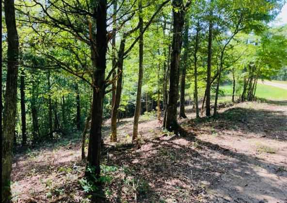 Lot 33 Woodgate Shores Dr: Lot 33 Woodgate Shores Dr, Wedowee, AL 36278